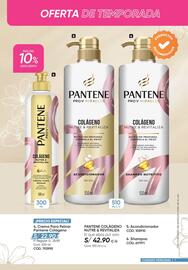 Catálogo Azzorti Página 7