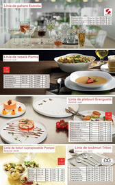 Catalog Selgros Pagină 7