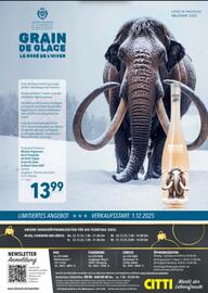 Citti katalog Sida 13