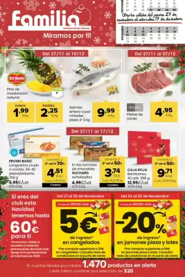 Folleto Autoservicios Familia (válido hasta el 17-12)