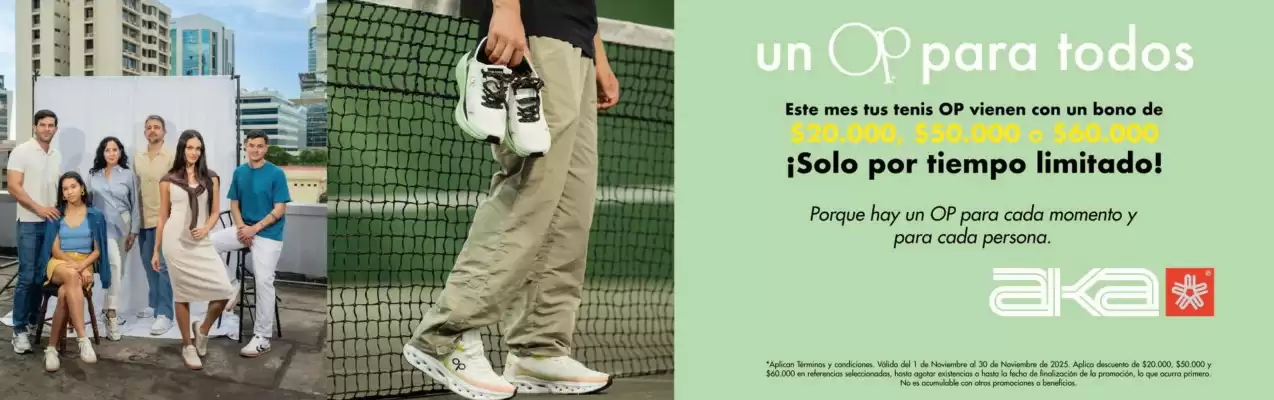 Catálogo Aka (válido hasta 30-11)