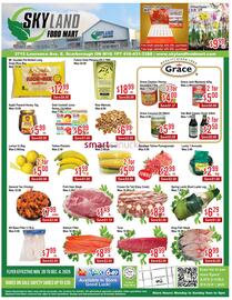 Skyland Foodmart flyer week 48 Page 1