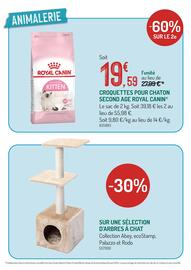 Catalogue Botanic page 6