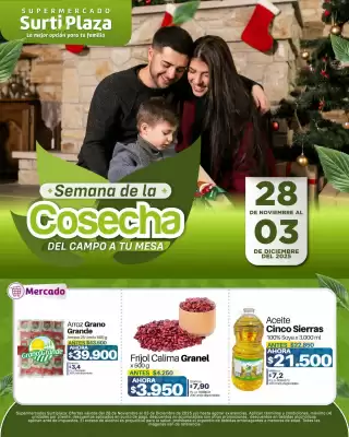 Catálogo Supermercados Surtiplaza (válido hasta 3-12)