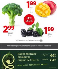 Avril flyer week 48 Page 2