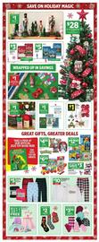 Dollar General weekly ad week 48 Page 11