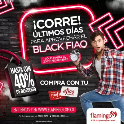 Catálogo Flamingo (válido hasta 30-11)