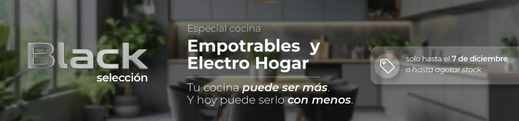 Catálogo Albin Trotter (válido hasta 7-12)