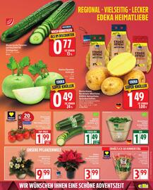 Elli Markt Prospekt woche 49 Seite 3