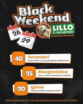 Volantino Lillo e i Vagabondi (valido fino al 29-11)