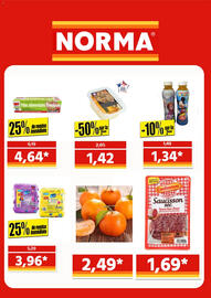 Catalogue Norma page 3