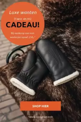 Van Uffelen folder (geldig t/m 30-11)