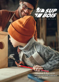 Catalogue Mr Bricolage page 21