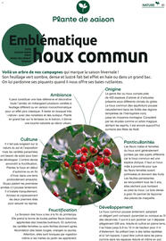 Catalogue Mr Bricolage page 81