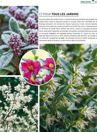 Catalogue Mr Bricolage page 87