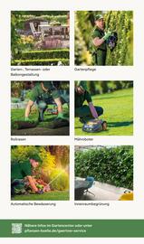 Pflanzen Kölle Prospekt woche 49 Seite 11