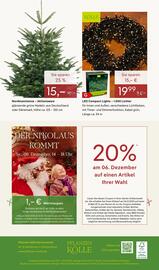 Pflanzen Kölle Prospekt woche 49 Seite 12