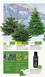 Pflanzen Kölle Prospekt woche 49 Seite 2