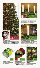 Pflanzen Kölle Prospekt woche 49 Seite 4