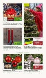 Pflanzen Kölle Prospekt woche 49 Seite 5