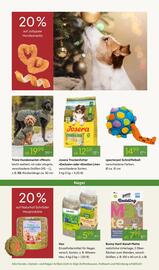 Pflanzen Kölle Prospekt woche 49 Seite 8