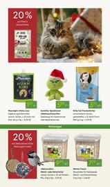 Pflanzen Kölle Prospekt woche 49 Seite 9