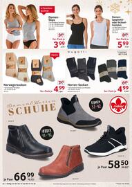 Selgros Prospekt woche 49 Seite 22