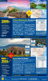 Lidl Reisen Prospekt Seite 36