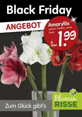Blumen Risse Prospekt (gültig bis 28-11)