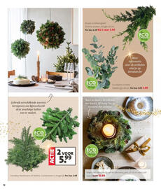 Intratuin folder week 49 Pagina 12