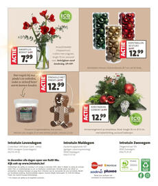 Intratuin folder week 49 Pagina 16