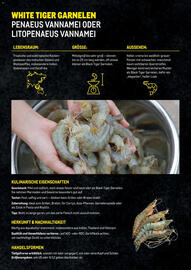 Metro Flugblatt Seite 10