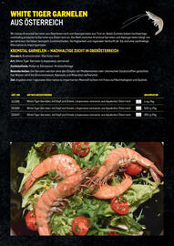 Metro Flugblatt Seite 12