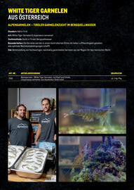 Metro Flugblatt Seite 13