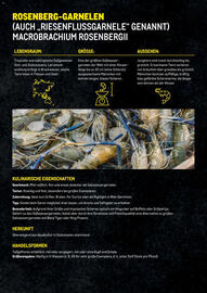 Metro Flugblatt Seite 14