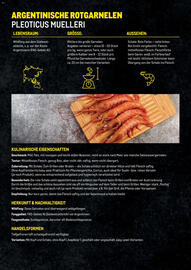 Metro Flugblatt Seite 16