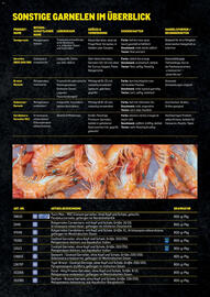 Metro Flugblatt Seite 18