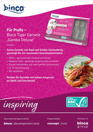 Metro Flugblatt Seite 20