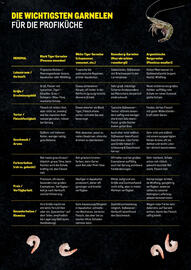 Metro Flugblatt Seite 3