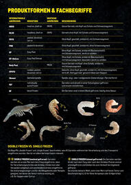 Metro Flugblatt Seite 7