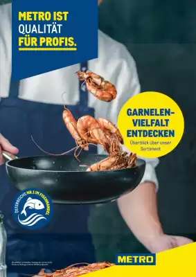 Metro Flugblatt (gültig bis 31-12)