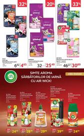 Catalog Selgros Pagină 35