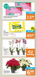 Albert Heijn folder week 49 Pagina 31