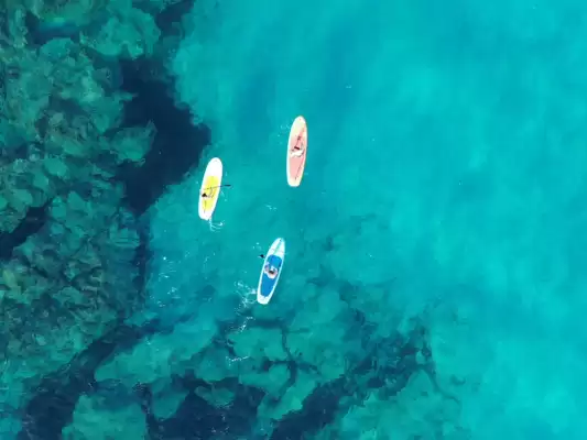 Decathlon catalogue (valid until 30-11)