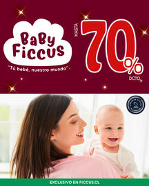 Catálogo Ficcus semana 48 Página 5