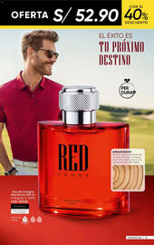 Catálogo Dupree Página 113