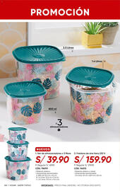 Catálogo Dupree Página 244