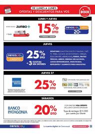 Folleto Disco Página 13