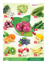 Shaklan leaflet Page 2