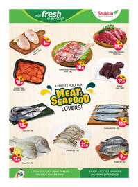 Shaklan leaflet Page 3